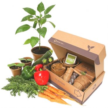 allotment kweken shurgard